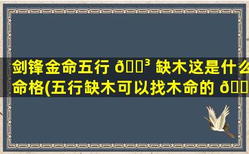 剑锋金命五行 🐳 缺木这是什么命格(五行缺木可以找木命的 🌾 配偶吗)
